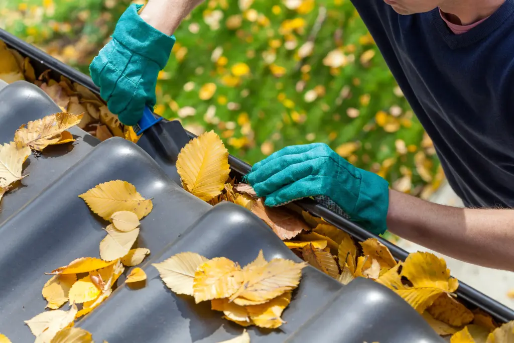 Person wearing teal gloves pulling leaves out of a roof gutter for cleanup in autumn scenery.